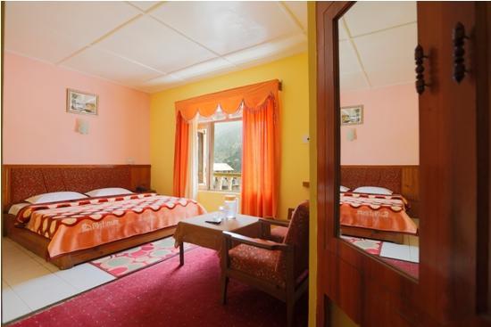 Hotel Mohan Palace Manali  Ngoại thất bức ảnh